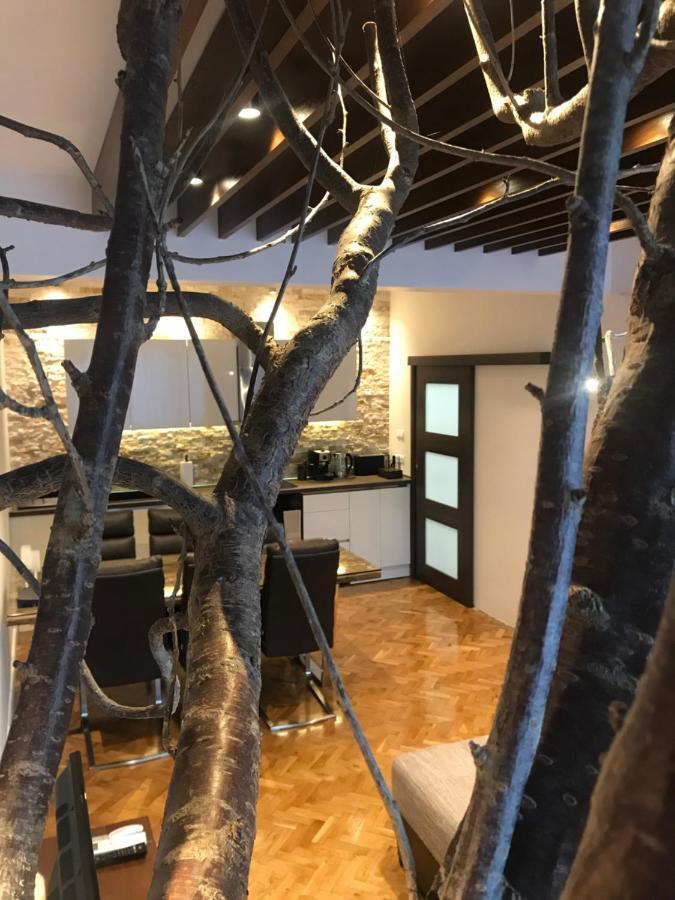 סטרה זגורה Apartment Antique Theatre 2 מראה חיצוני תמונה