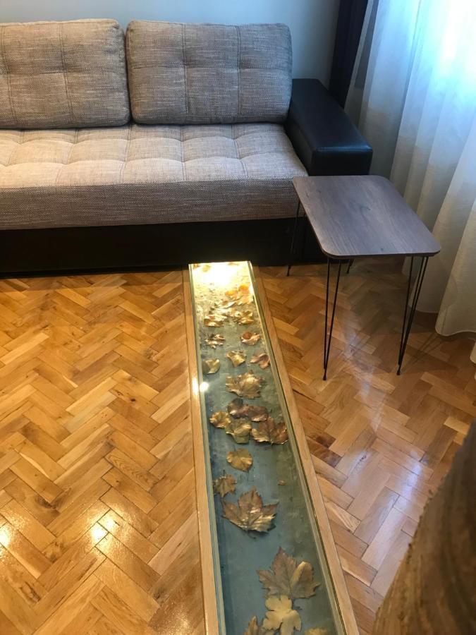 סטרה זגורה Apartment Antique Theatre 2 מראה חיצוני תמונה